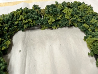 Finished Hedge