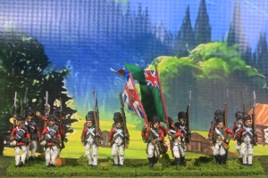 Volunteers of Ireland