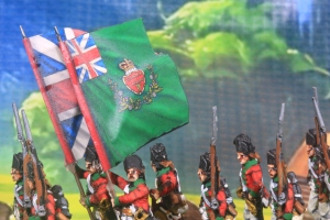 Volunteers of Ireland