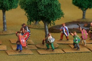 celts_-_28mm_12