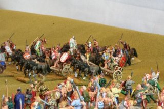 celts_-_28mm_23