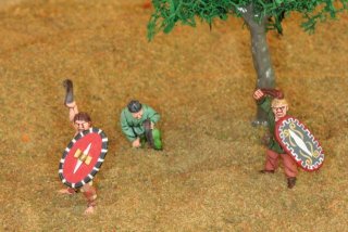 celts_-_28mm_25