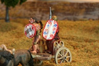 celts_-_28mm_31