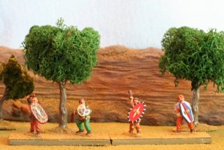 celts_-_28mm_5