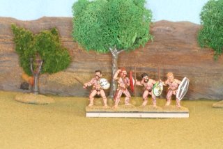 celts_-_28mm_53