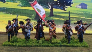 1st South Carolina Militia