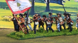 1st South Carolina Militia