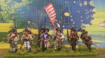 2nd VA Militia