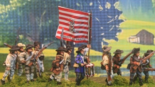 2nd VA Militia