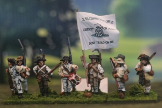 1st VA Militia