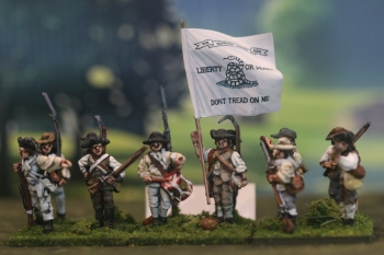 1st VA Militia