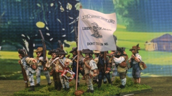 1st VA Militia