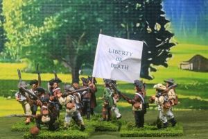 1st North Carolina Militia