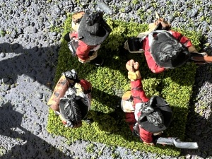 Flocking