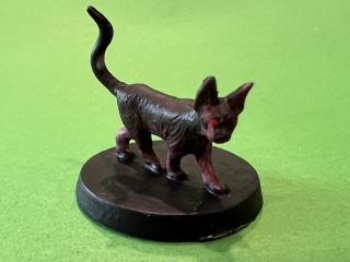 Midna cat