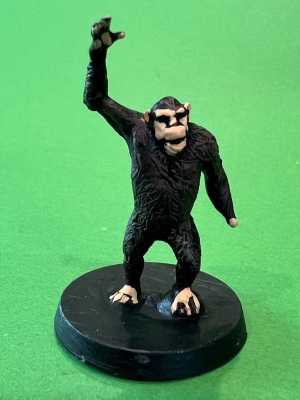 Titus chimp