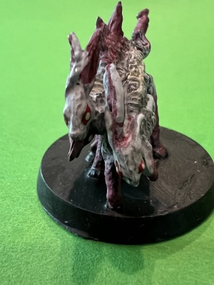 Mutated rabbit