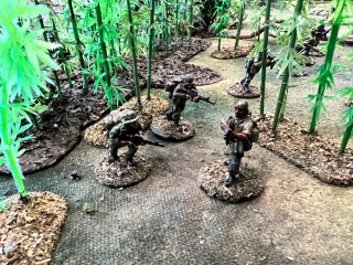 Vietnam:  Firebase Alpha Charlie