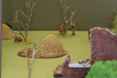 photo19