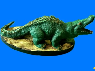 Crocodile